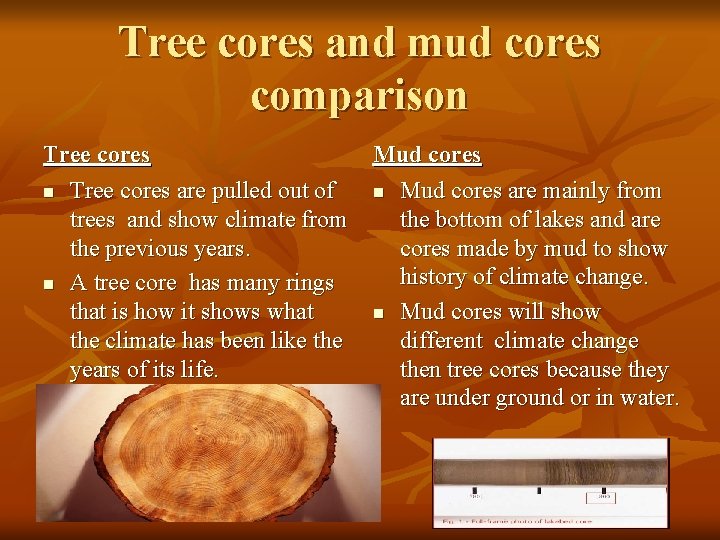Tree cores and mud cores comparison Tree cores are pulled out of trees and