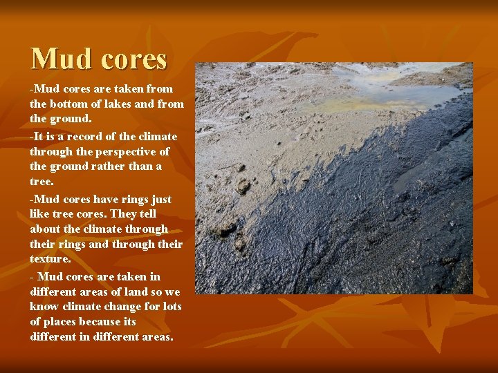 Mud cores -Mud cores are taken from the bottom of lakes and from the
