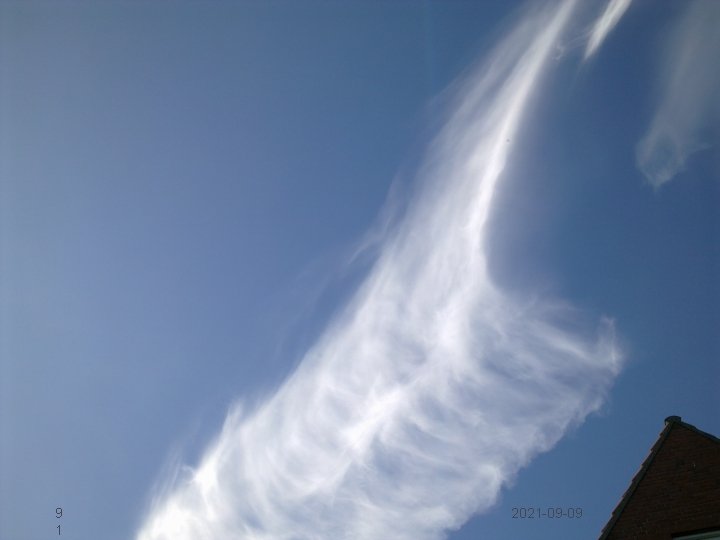 9 1 2021 09 09 TTO september 12 