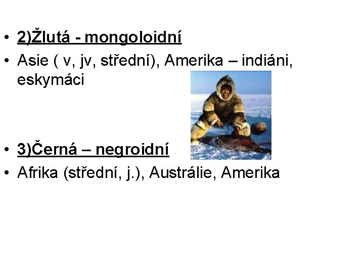  • 2)Žlutá - mongoloidní • Asie ( v, jv, střední), Amerika – indiáni,