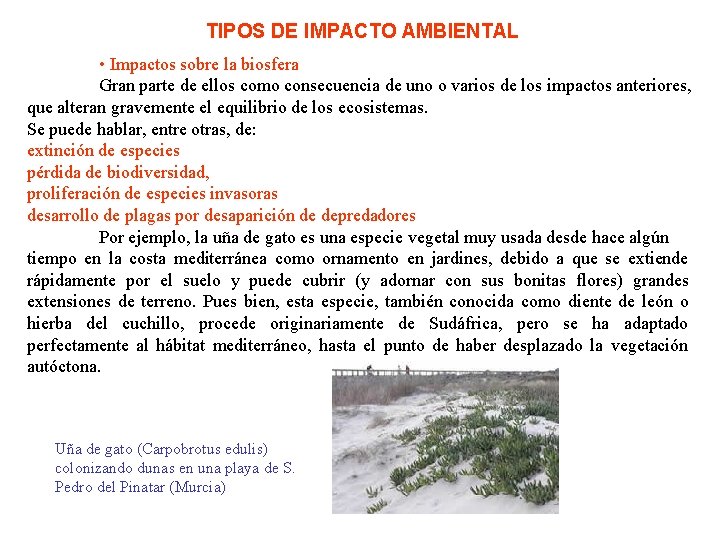 TIPOS DE IMPACTO AMBIENTAL • Impactos sobre la biosfera Gran parte de ellos como