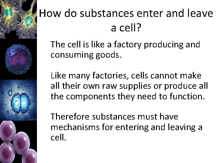 How do substances enter and leave a cell? The cell is like a factory