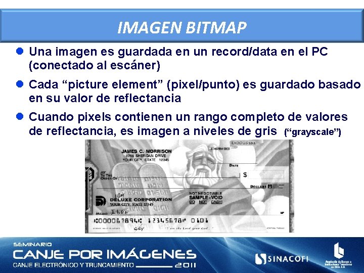 IMAGEN BITMAP l Una imagen es guardada en un record/data en el PC (conectado