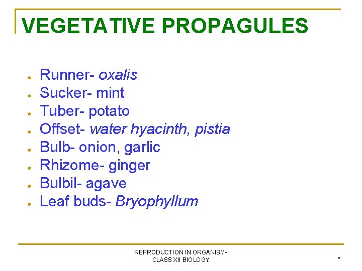 VEGETATIVE PROPAGULES ● ● ● ● Runner- oxalis Sucker- mint Tuber- potato Offset- water