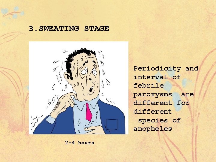 3. SWEATING STAGE Periodicity and interval of febrile paroxysms are different for different species