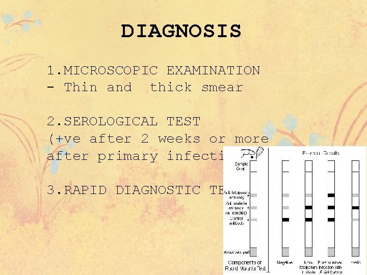 DIAGNOSIS 1. MICROSCOPIC EXAMINATION - Thin and thick smear 2. SEROLOGICAL TEST (+ve after