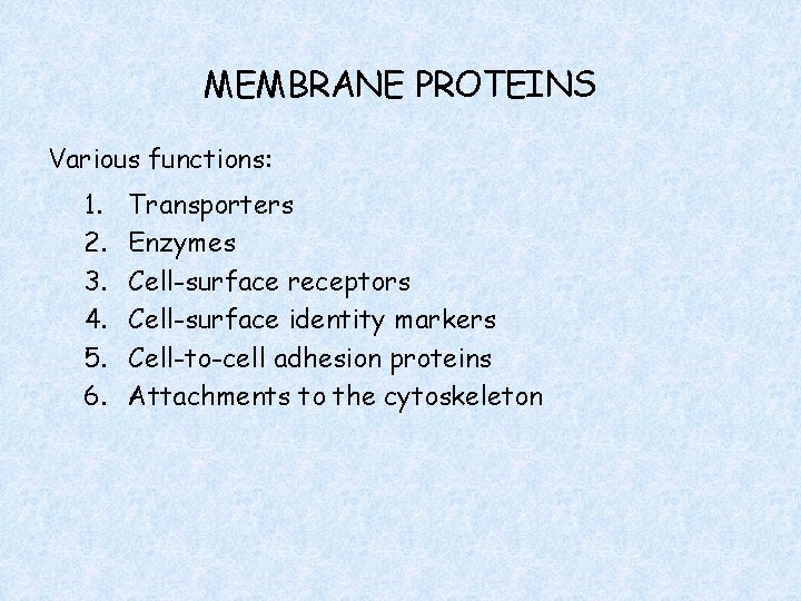 MEMBRANE PROTEINS Various functions: 1. 2. 3. 4. 5. 6. Transporters Enzymes Cell-surface receptors