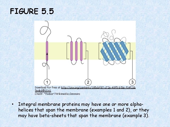 FIGURE 5. 5 Download for free at http: //cnx. org/contents/185 cbf 87 -c 72