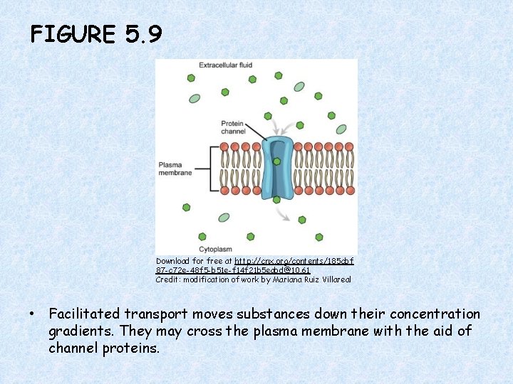 FIGURE 5. 9 Download for free at http: //cnx. org/contents/185 cbf 87 -c 72