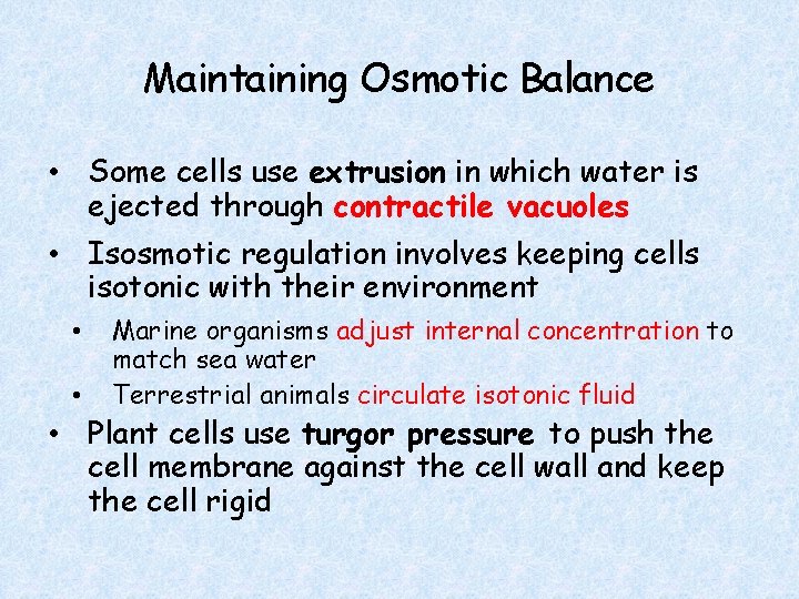 Maintaining Osmotic Balance • Some cells use extrusion in which water is ejected through