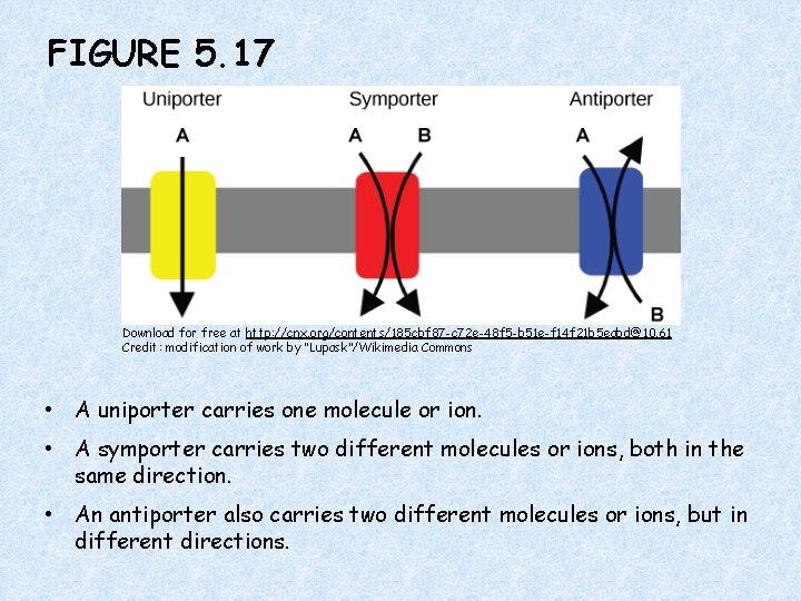 FIGURE 5. 17 Download for free at http: //cnx. org/contents/185 cbf 87 -c 72