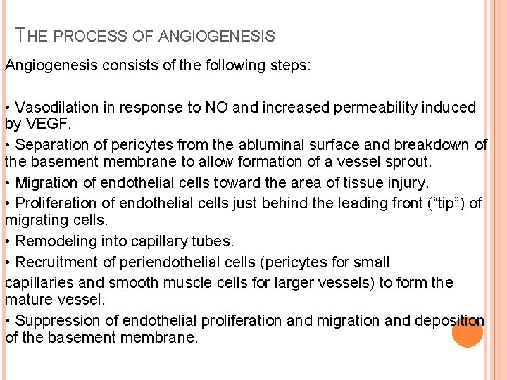 THE PROCESS OF ANGIOGENESIS Angiogenesis consists of the following steps: • Vasodilation in response