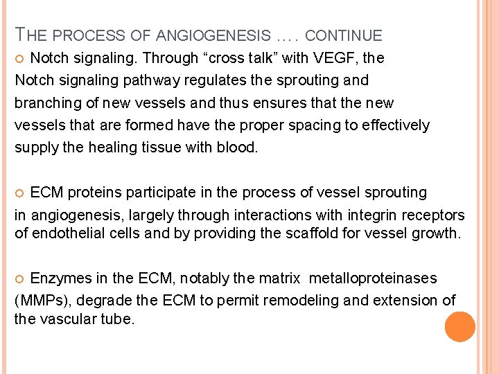 THE PROCESS OF ANGIOGENESIS …. CONTINUE Notch signaling. Through “cross talk” with VEGF, the