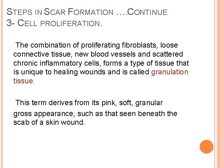STEPS IN SCAR FORMATION …. CONTINUE 3 - CELL PROLIFERATION. The combination of proliferating