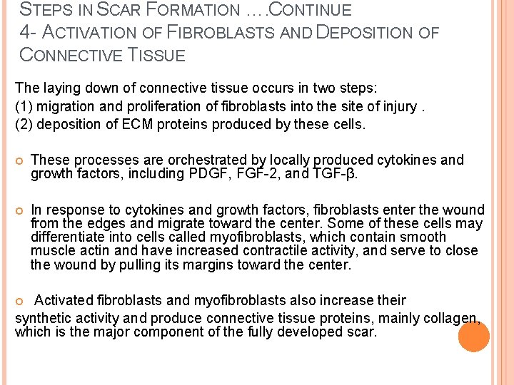 STEPS IN SCAR FORMATION …. CONTINUE 4 - ACTIVATION OF FIBROBLASTS AND DEPOSITION OF