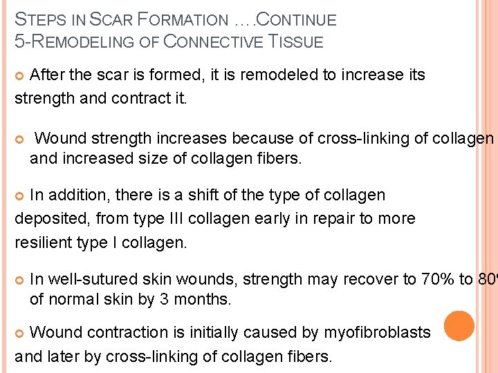 STEPS IN SCAR FORMATION …. CONTINUE 5 -REMODELING OF CONNECTIVE TISSUE After the scar