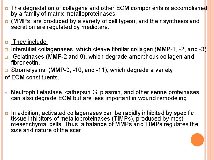  The degradation of collagens and other ECM components is accomplished by a family