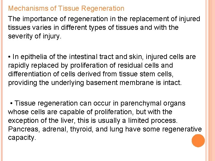 Mechanisms of Tissue Regeneration The importance of regeneration in the replacement of injured tissues