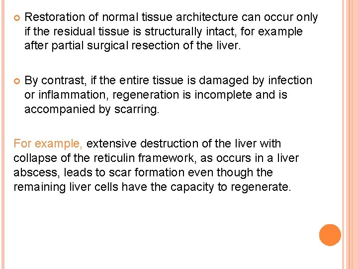  Restoration of normal tissue architecture can occur only if the residual tissue is