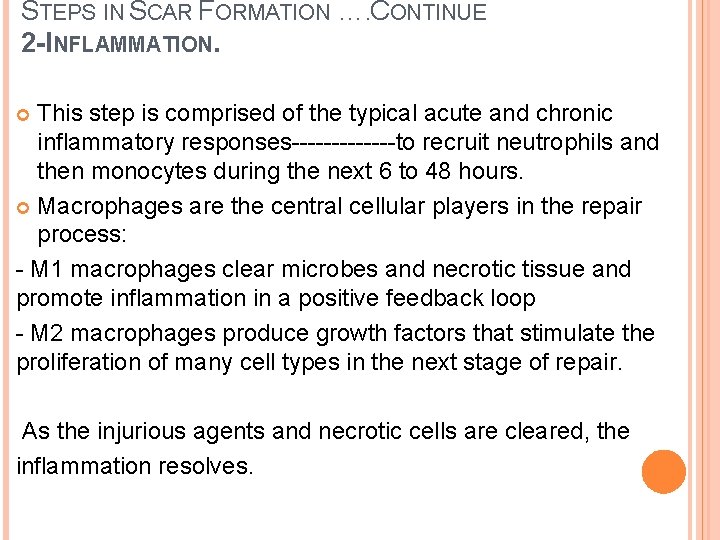 STEPS IN SCAR FORMATION …. CONTINUE 2 -INFLAMMATION. This step is comprised of the