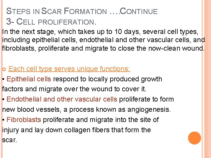 STEPS IN SCAR FORMATION …. CONTINUE 3 - CELL PROLIFERATION. In the next stage,