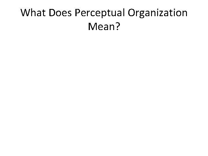 What Does Perceptual Organization Mean? 