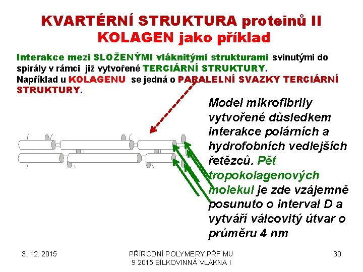 KVARTÉRNÍ STRUKTURA proteinů II KOLAGEN jako příklad Interakce mezi SLOŽENÝMI vláknitými strukturami svinutými do