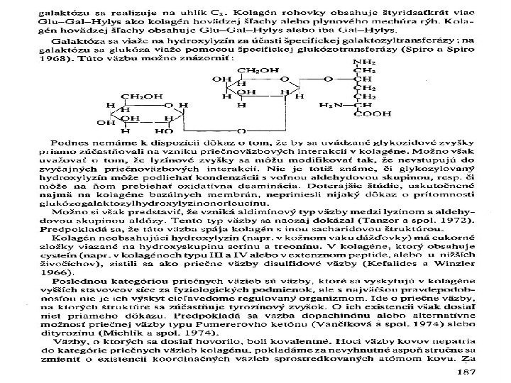 KOLAGEN – PŘÍČNÉ VAZBY IN VIVO 6 3. 12. 2015 PŘÍRODNÍ POLYMERY PŘF MU