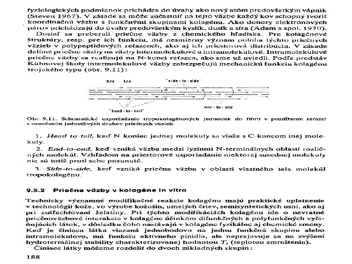 KOLAGEN – PŘÍČNÉ VAZBY IN VIVO 7 3. 12. 2015 PŘÍRODNÍ POLYMERY PŘF MU