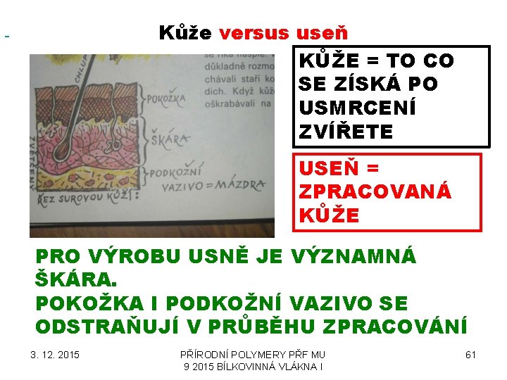 Kůže versus useň KŮŽE = TO CO SE ZÍSKÁ PO USMRCENÍ ZVÍŘETE USEŇ =