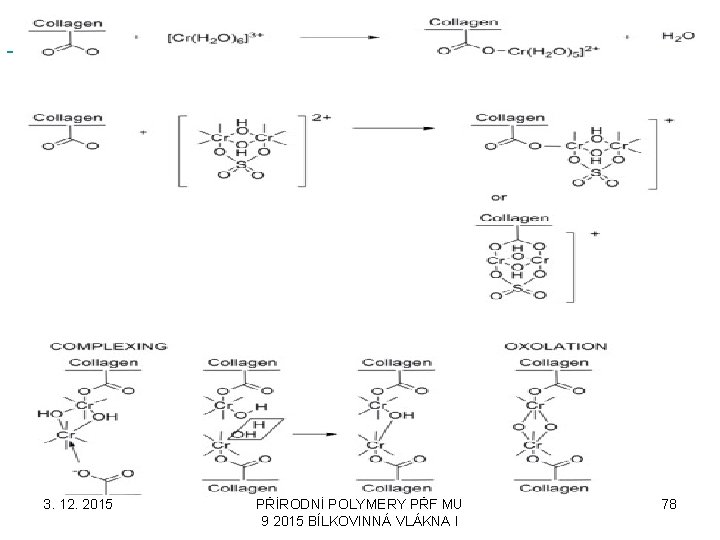 3. 12. 2015 PŘÍRODNÍ POLYMERY PŘF MU 9 2015 BÍLKOVINNÁ VLÁKNA I 78 