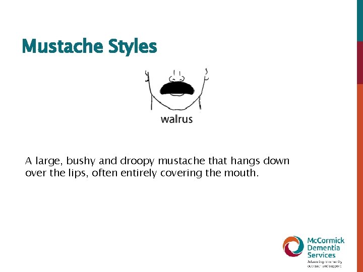 Mustache Styles A large, bushy and droopy mustache that hangs down over the lips,
