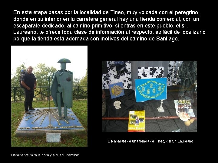 En esta etapa pasas por la localidad de Tineo, muy volcada con el peregrino,