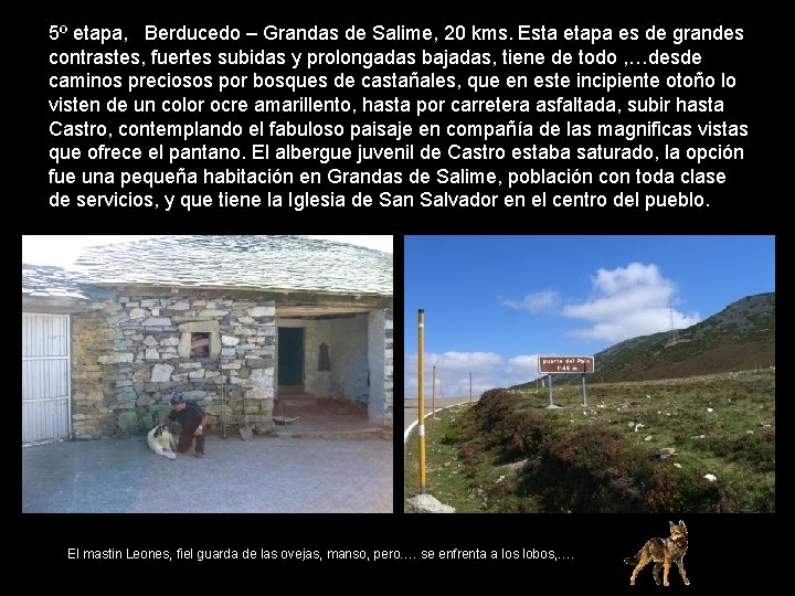 5º etapa, Berducedo – Grandas de Salime, 20 kms. Esta etapa es de grandes