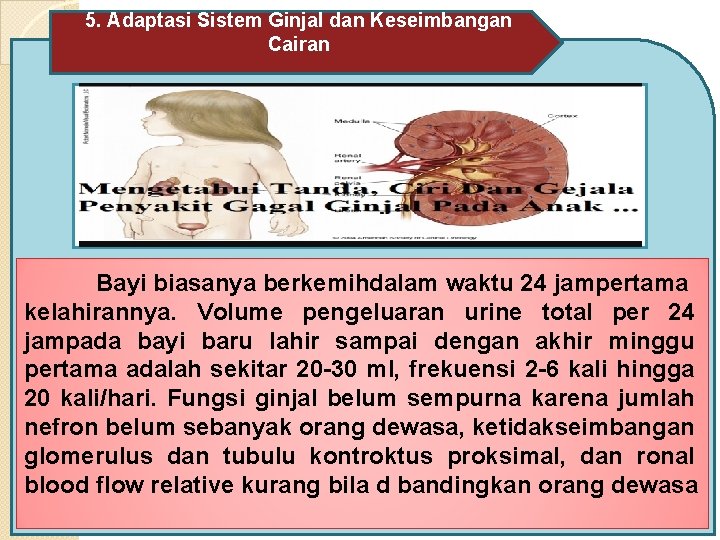 5. Adaptasi Sistem Ginjal dan Keseimbangan Cairan Bayi biasanya berkemihdalam waktu 24 jampertama kelahirannya.