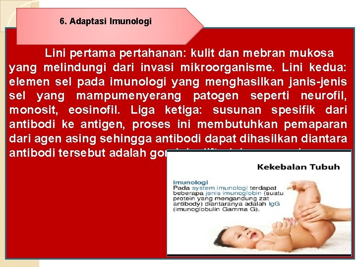 6. Adaptasi Imunologi Lini pertama pertahanan: kulit dan mebran mukosa yang melindungi dari invasi