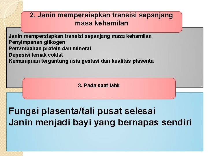 2. Janin mempersiapkan transisi sepanjang masa kehamilan Penyimpanan glikogen Pertambahan protein dan mineral Deposisi