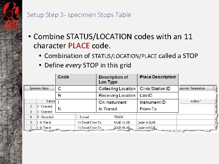 Setup Step 3 - specimen Stops Table • Combine STATUS/LOCATION codes with an 11
