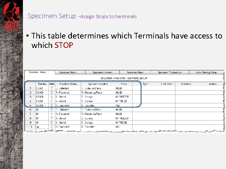 Specimen Setup -Assign Stops to terminals • This table determines which Terminals have access