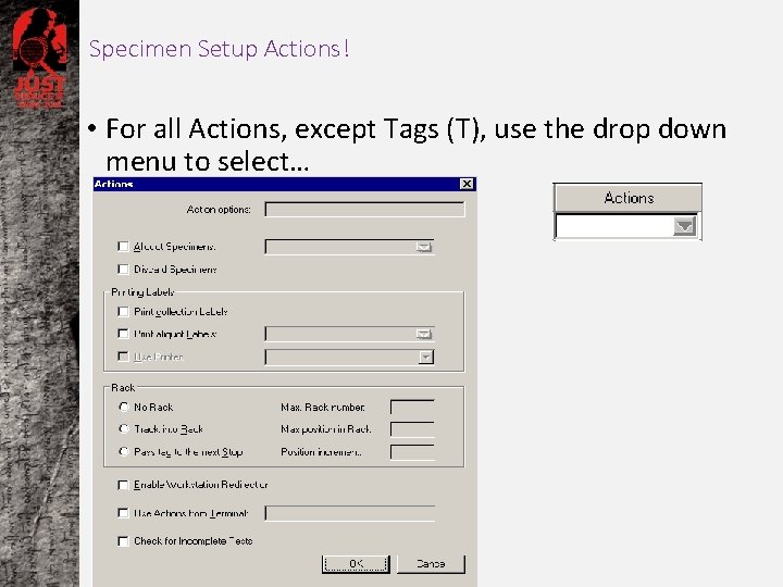 Specimen Setup Actions! • For all Actions, except Tags (T), use the drop down