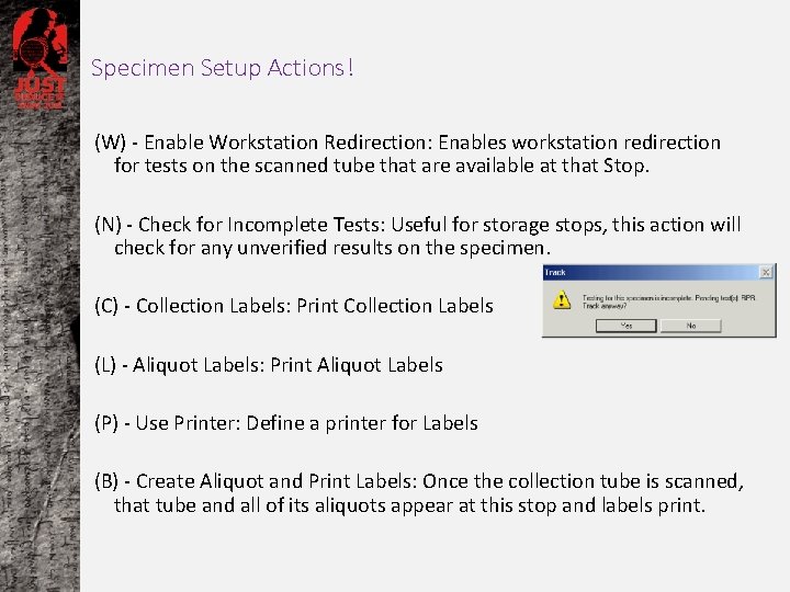 Specimen Setup Actions! (W) - Enable Workstation Redirection: Enables workstation redirection for tests on