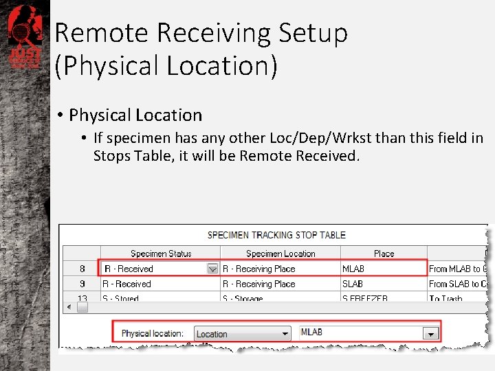 Remote Receiving Setup (Physical Location) • Physical Location • If specimen has any other