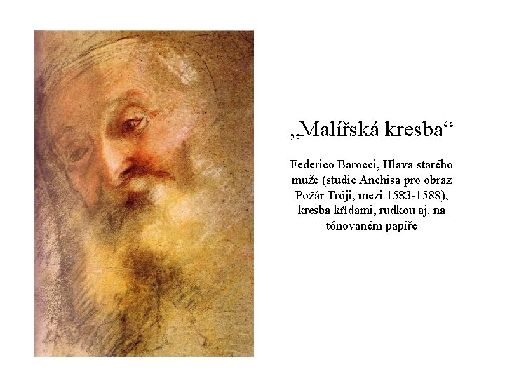 „Malířská kresba“ Federico Barocci, Hlava starého muže (studie Anchisa pro obraz Požár Tróji, mezi