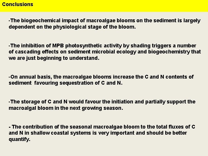 Conclusions -The biogeochemical impact of macroalgae blooms on the sediment is largely dependent on