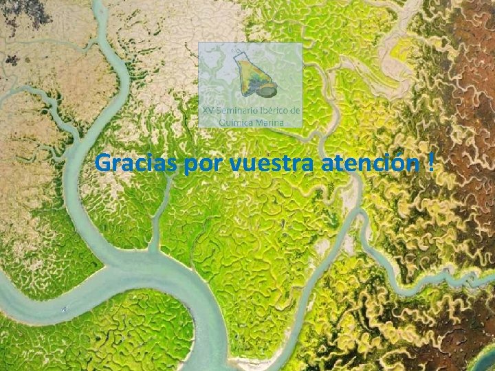 Gracias por vuestra atención ! 