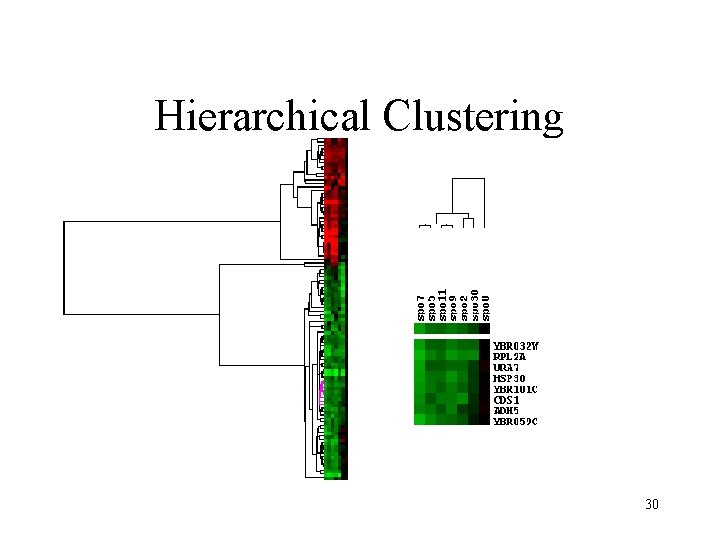 Hierarchical Clustering 30 