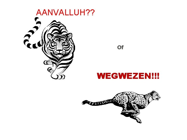 AANVALLUH? ? Of WEGWEZEN!!! 