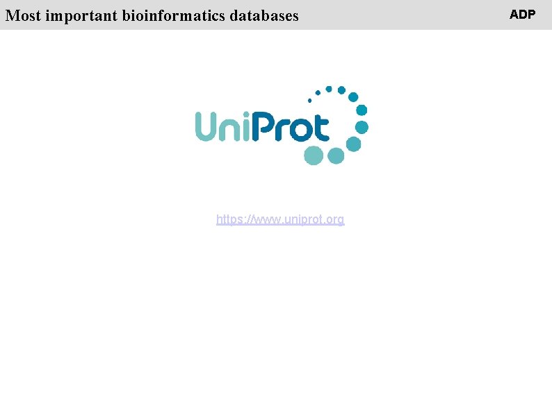 People Most important bioinformatics databases https: //www. uniprot. org ADP 