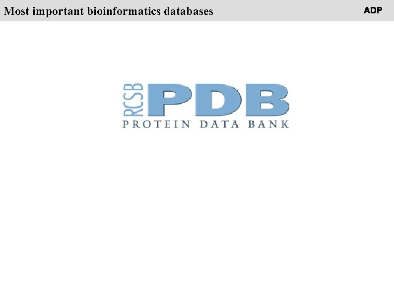 People Most important bioinformatics databases ADP 