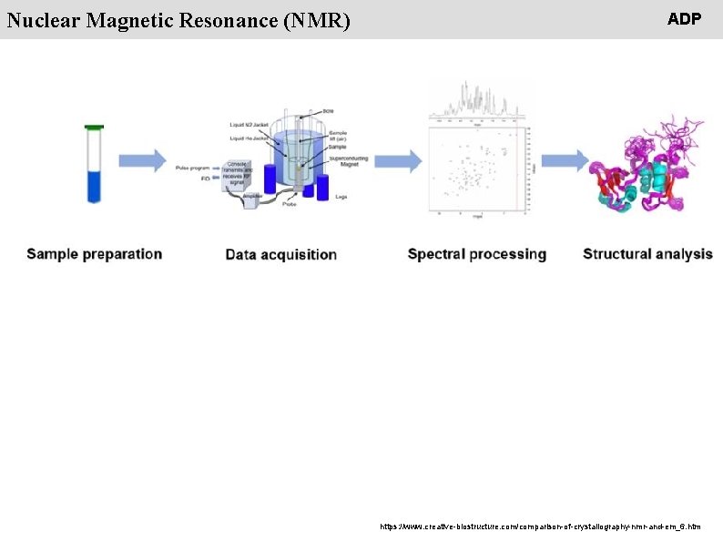People Nuclear Magnetic Resonance (NMR) ADP https: //www. creative-biostructure. com/comparison-of-crystallography-nmr-and-em_6. htm 